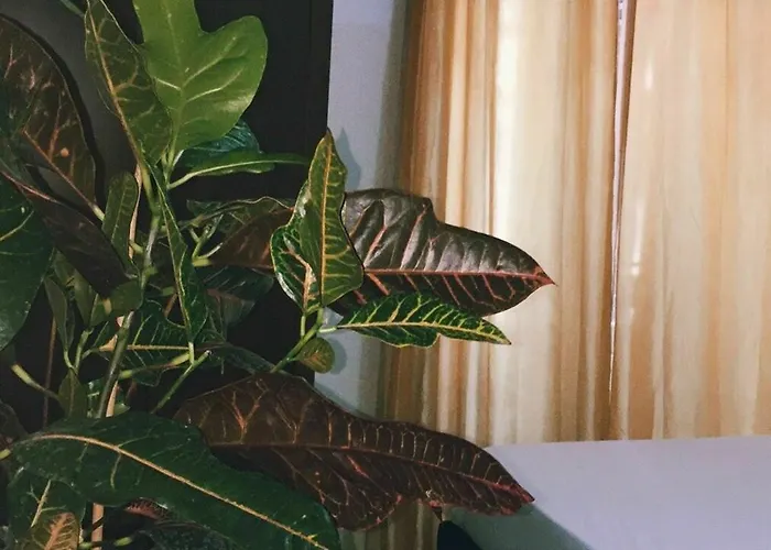 Candia41 Bed and breakfast Roma